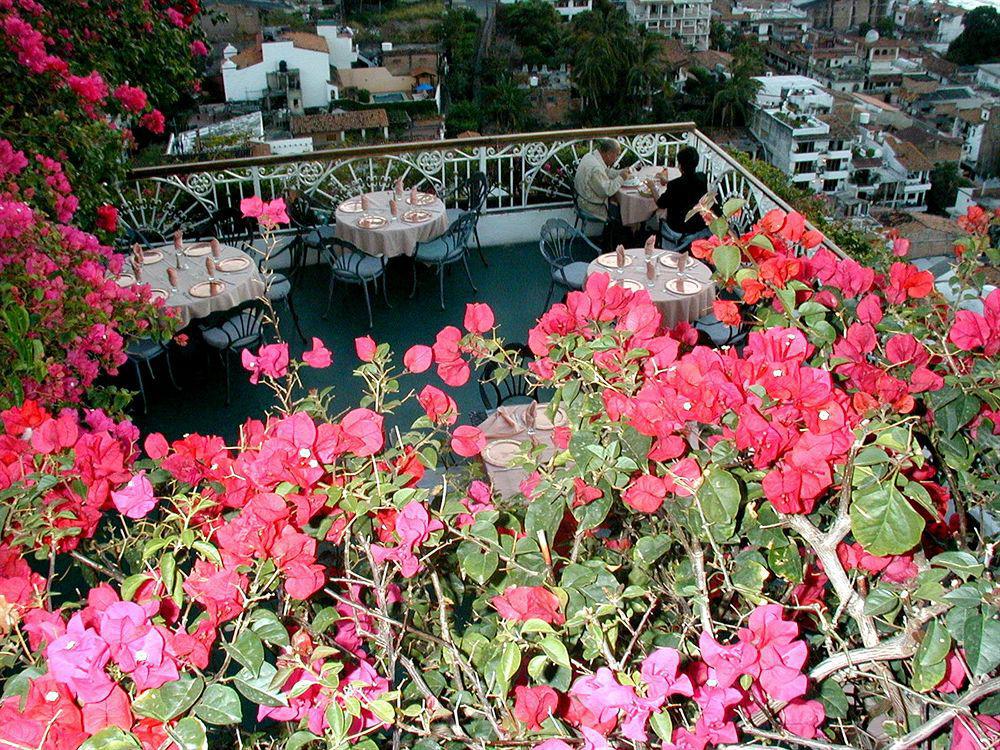 Hotel Suites La Siesta Puerto Vallarta Dış mekan fotoğraf
